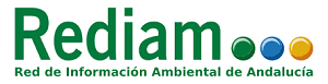 rediam