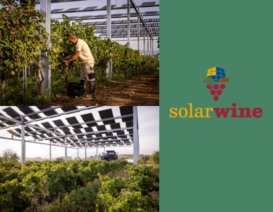 Vignobles avec panneaux photovoltaïques du projet GO Solarwine à Penedés